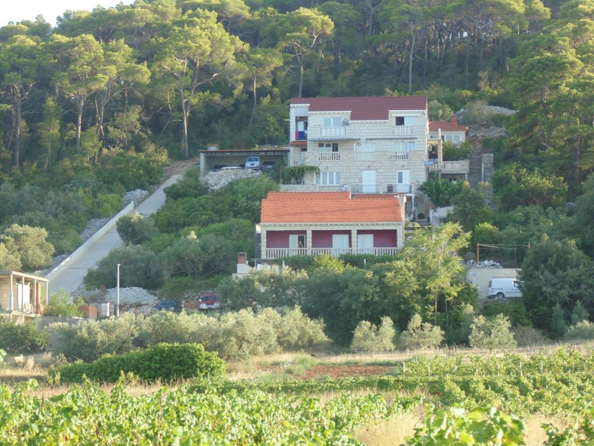 Villa Apartments Mate Cebalo ルンバルダ エクステリア 写真